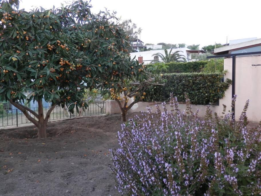 Casa Catalogna , Vicino Al Centro Storico. Villa Lipari  Exterior photo